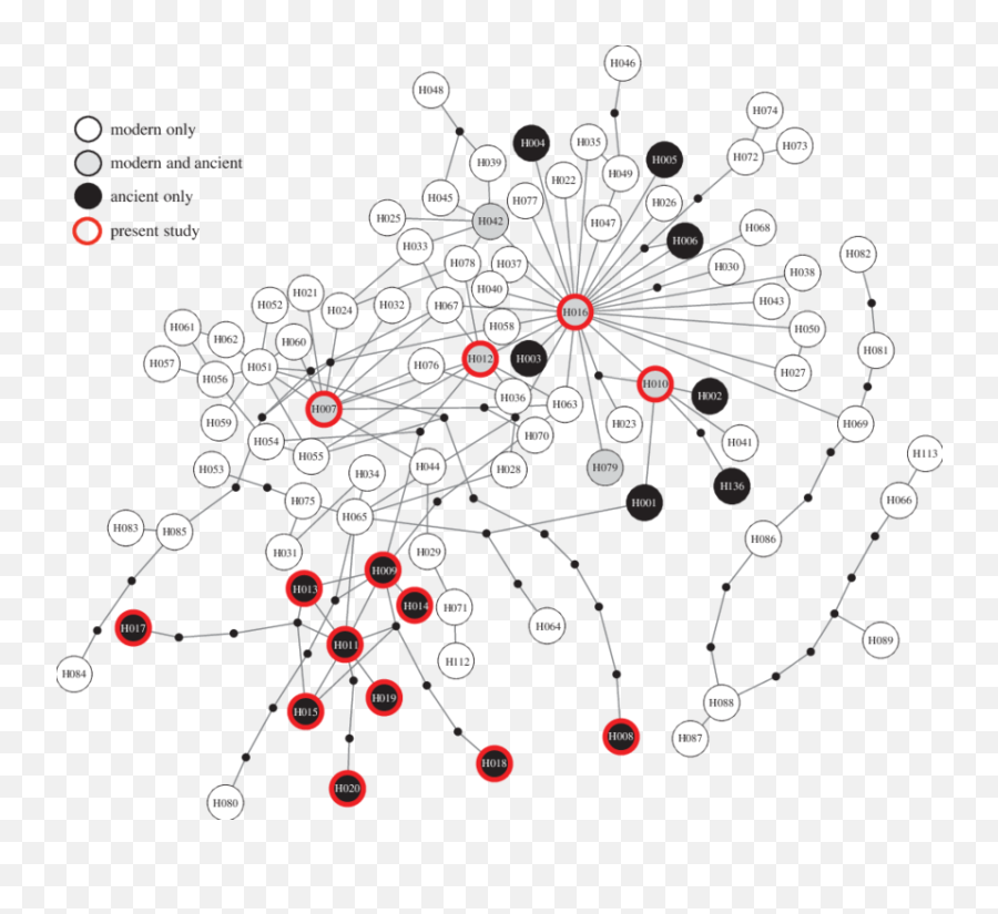 Network Constructed Using Tcs 121 Of All Comparable Modern Png Icon