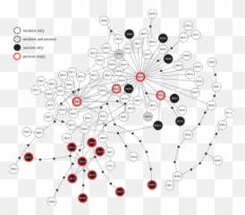 Network Constructed Using Tcs 121 Of All Comparable Modern Png