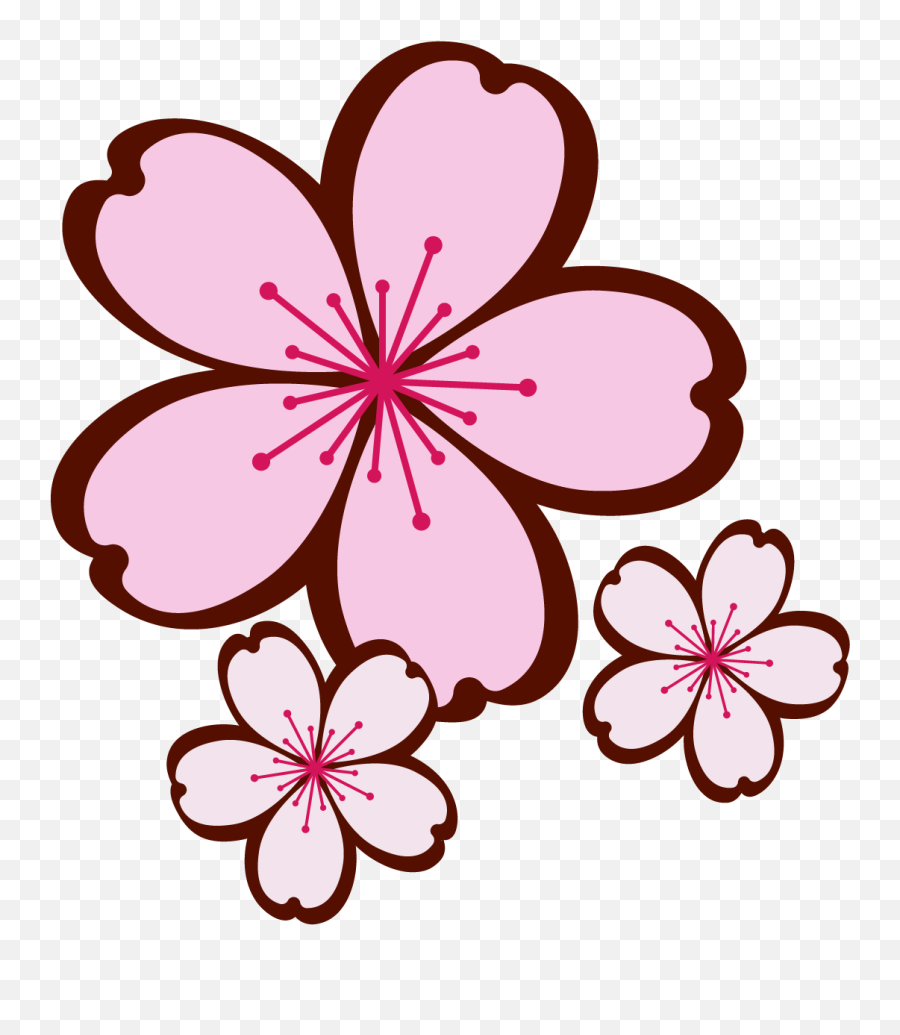 Cherry Blossom Extravaganza - Floral Png,Cherry Blossom Icon