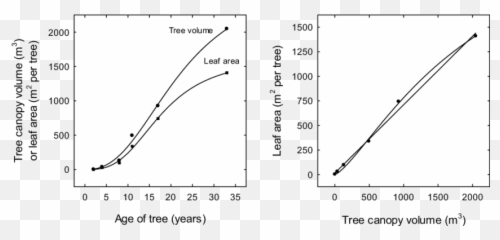 Changes In Leaf Area And Tree Canopy - Plot Png,Tree Canopy Png