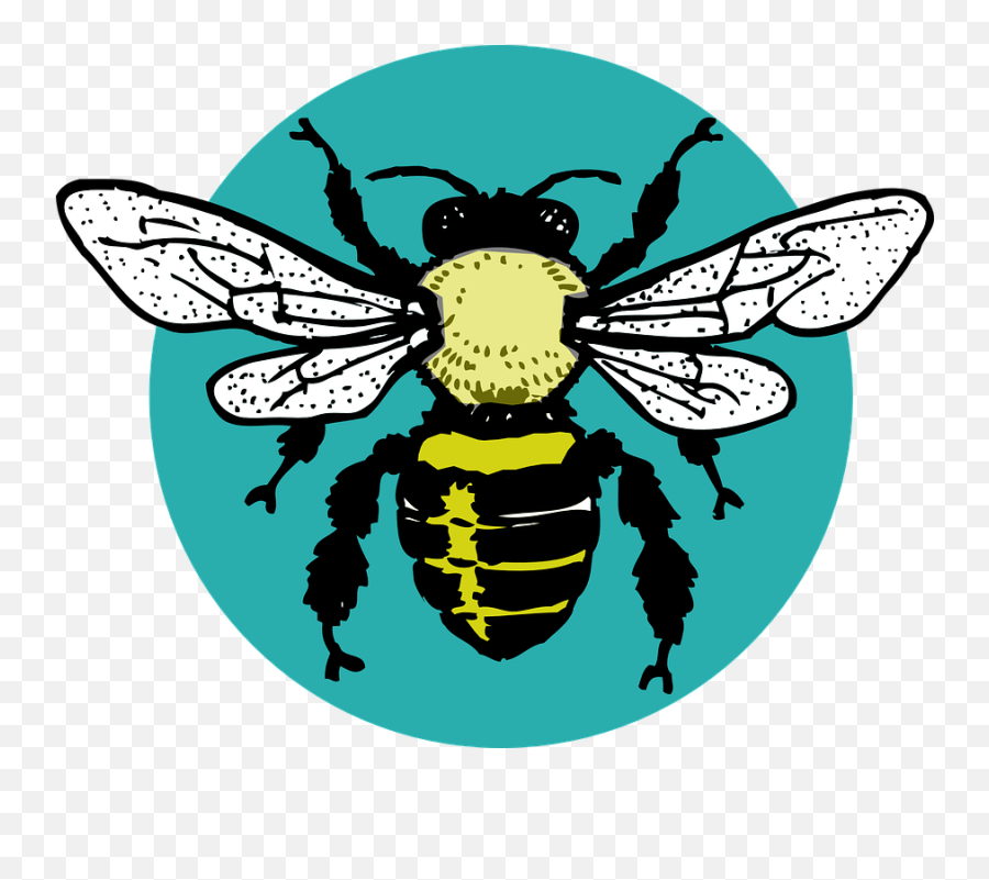 Bug Hornet Bee - Wu Tang Killer Bees Png,Wasp Png