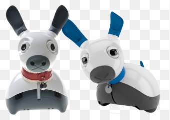 Miro - E Duo Pack Miro Robot png