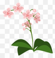 Png Images Pngs Icons Clipart Icon Transparent