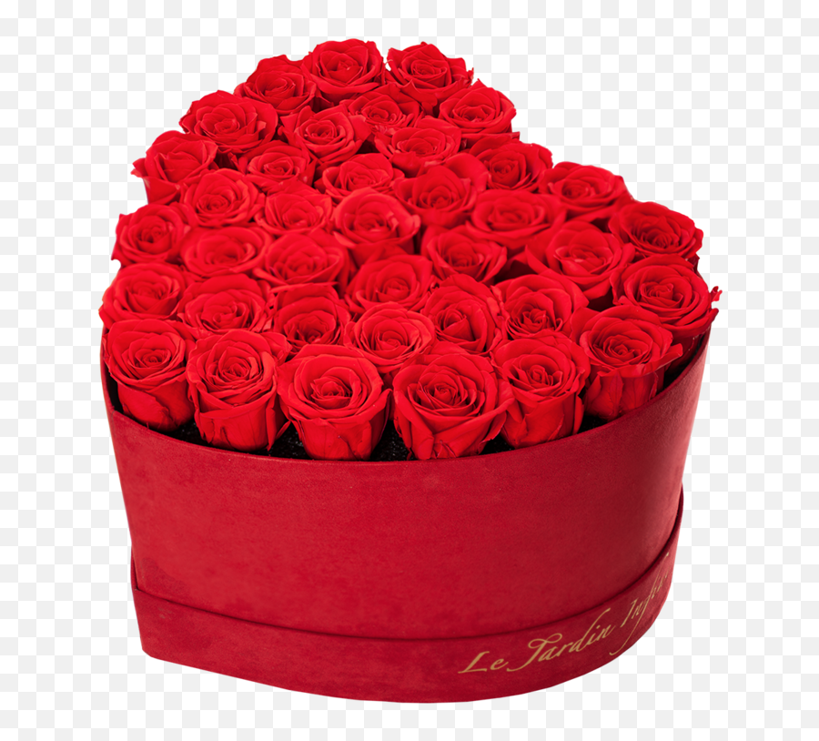 Red Suede Box With Roses - Garden Roses Png,Rose Heart Png