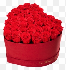 Red Suede Box With Roses - Garden Roses Png,Rose Heart Png