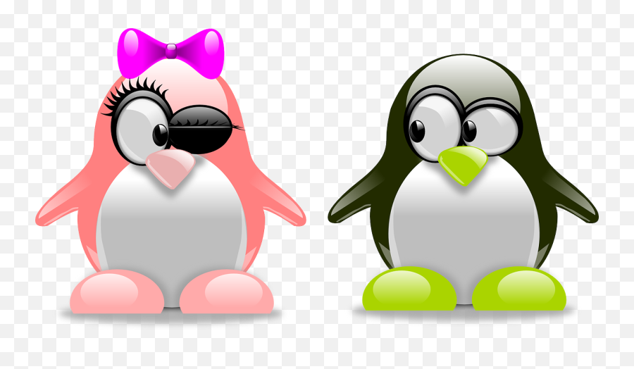 Penguins Art Amorous - Tux Penguin In Love Png,Tux Png
