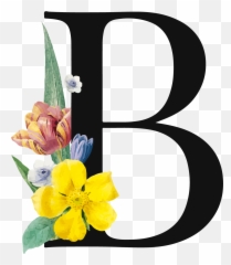 Letter B Png Royalty - Free Image Play Png