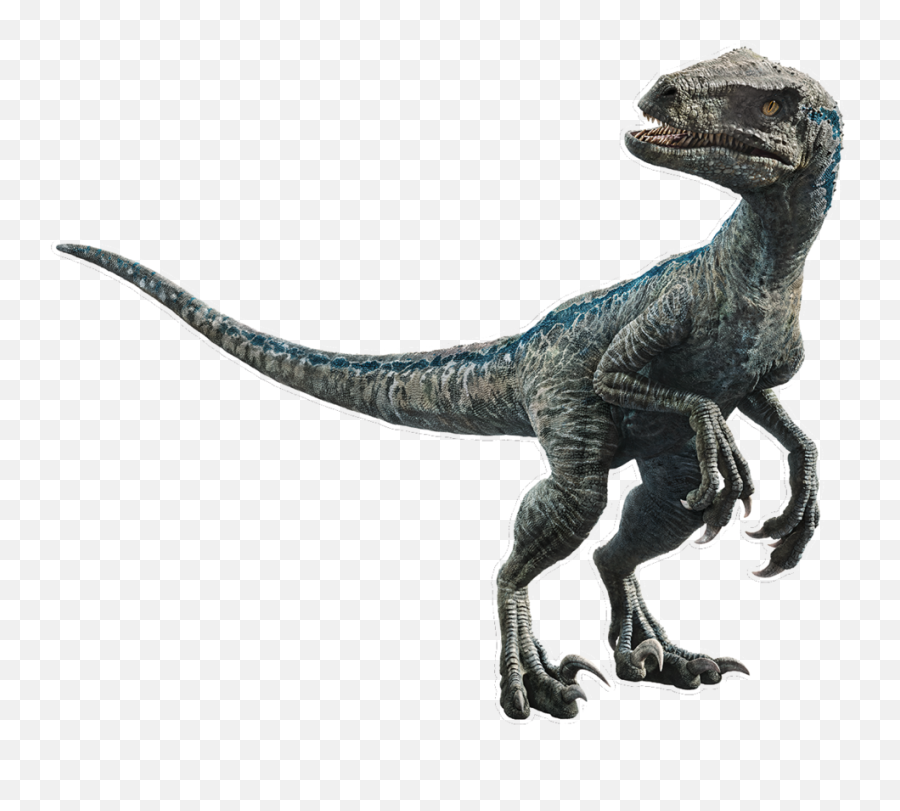 Download Blue The Velociraptor V5 By Sonichedgehog2 - Jurassic World Velociraptor Dinosaur Png,Jurassic World Png