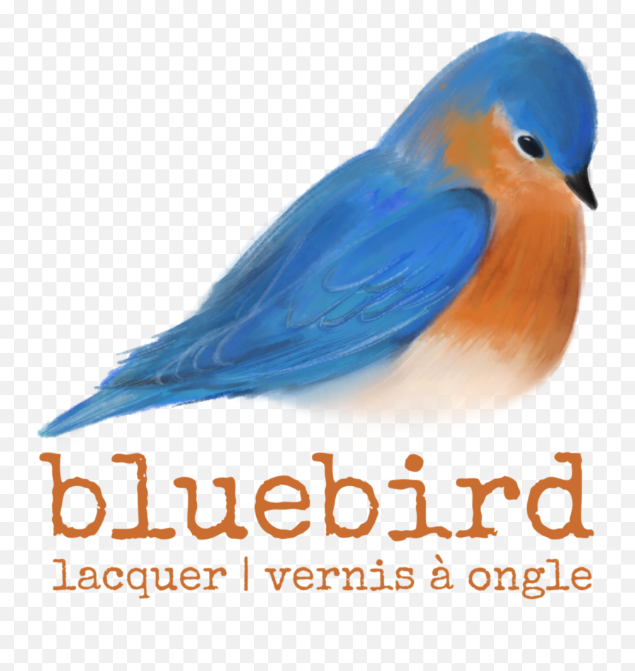 Be Yourself Express With Bluebird Lacquer - Eastern Bluebird Png,Blue Bird Png