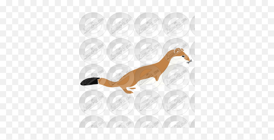 Weasel Stencil For Classroom Therapy Use - Great Weasel Illustration Png,Weasel Png