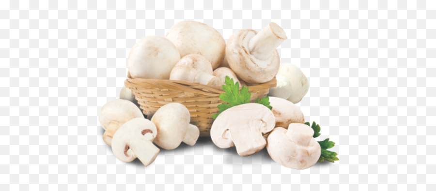 Mushroom Fresh Dried U0026 Preserved Vegetables - Jamur Png,Fungi Png