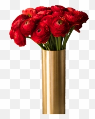 Red Peonies - The Socialite Family Floribunda Png,Peonies Png