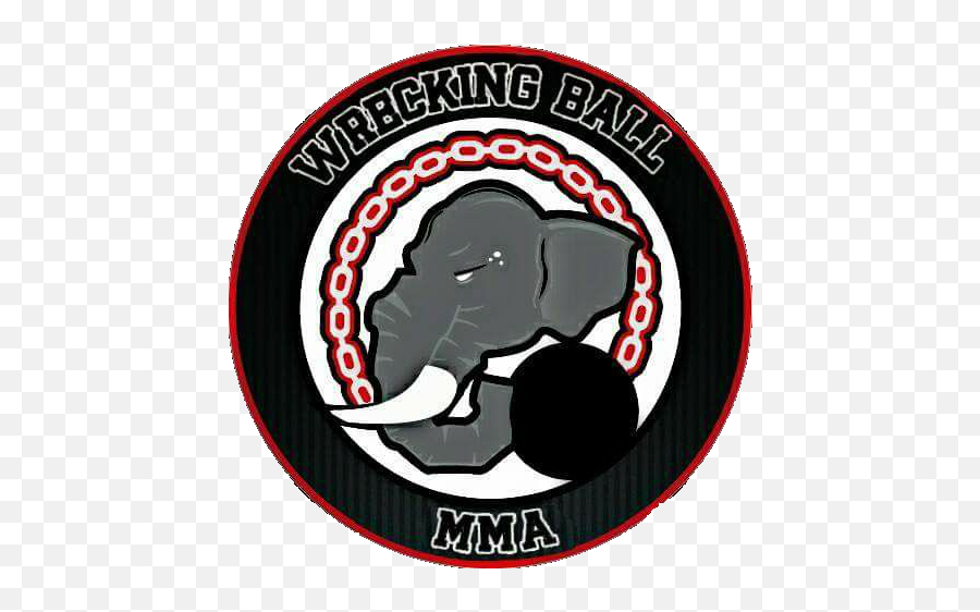 Download Wrecking Ball Png Image - Emblem,Wrecking Ball Png