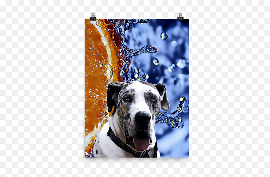 Download Great Dane Poster Png Image - Dalmatian,Great Dane Png