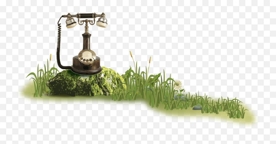 Contact Us U2013 Toadstool Editing - Vintage Phone With Grass Png,Toadstool Png