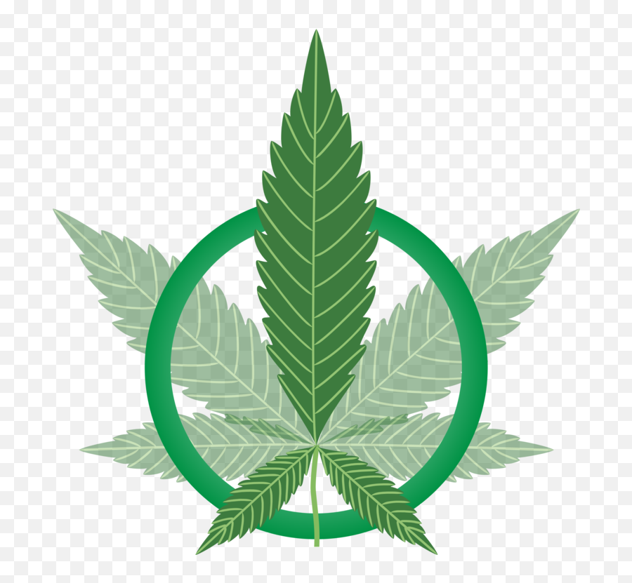Botany Plant Flower Png Clipart - Silhouette Marijuana Leaf Png,Marihuana Png