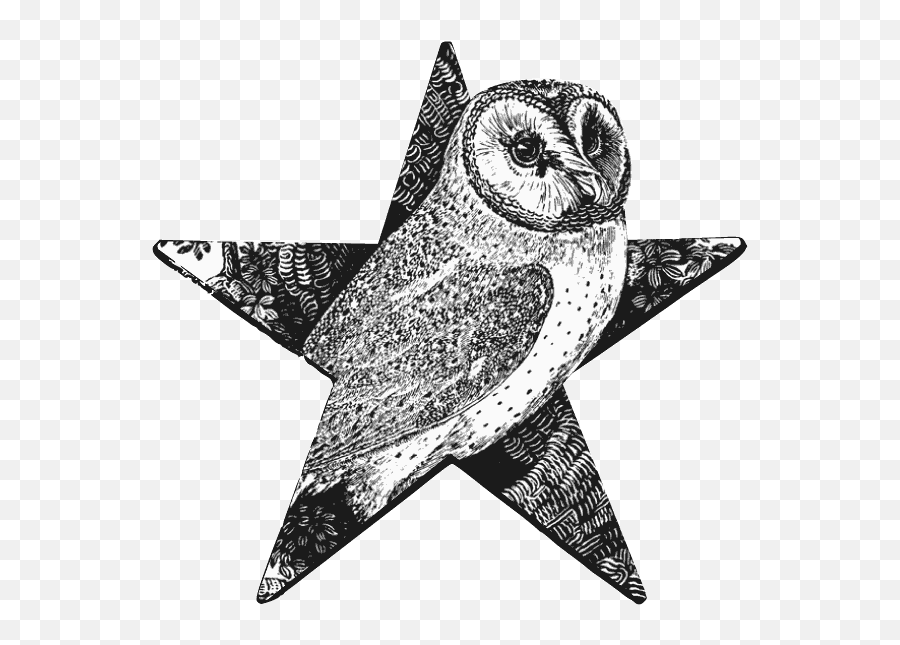 Barn Owl Barnstar - Thomas Bewick Wood Engraving Png,Barn Owl Png