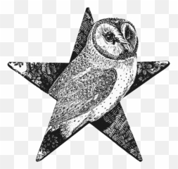 Barn Owl Barnstar - Thomas Bewick Wood Engraving Png,Barn Owl Png