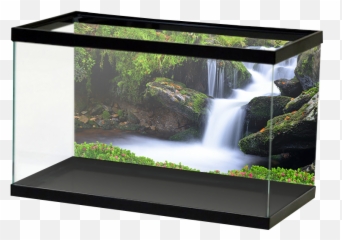 Forest Waterfall Background U2014 Aquarium Vinyl - Sunset Aquascape png