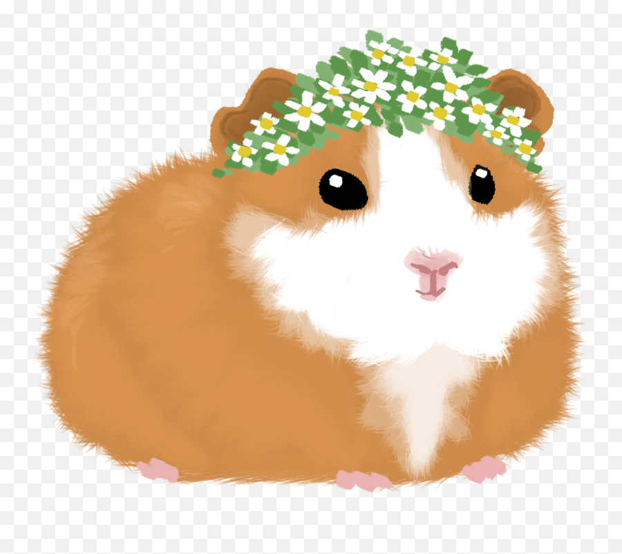Download Hd Ill Keep Drawing Cute Animals In Flower Crowns - Cute Guinea Pigs Drawing Png,Cute Animals Png