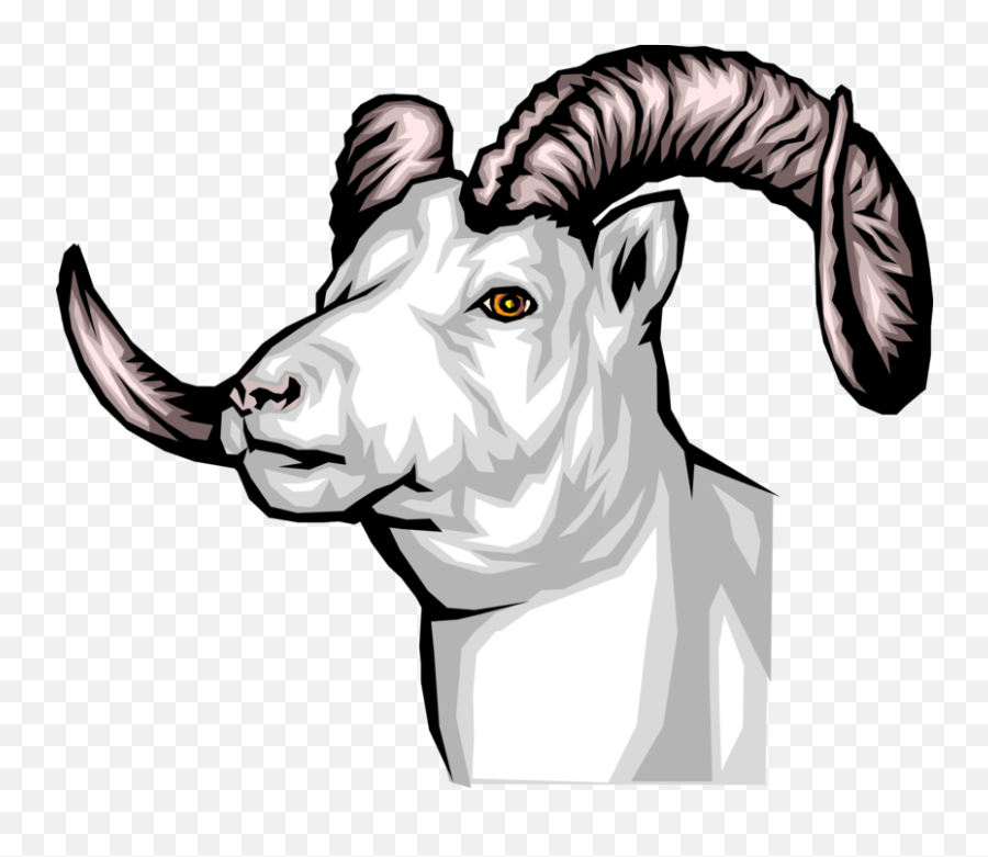 Thinhorn Dall Sheep - Vector Image Chichester Central School Png,Goat Head Png