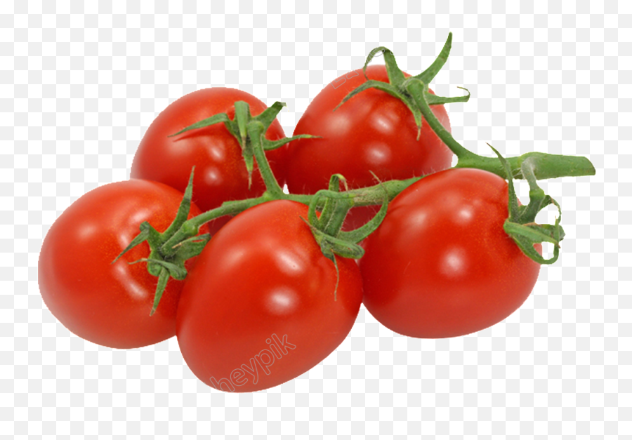 Download Cherry Tomatoes Transparent - Transparent Cherry Tomato Png,Tomato Transparent Background