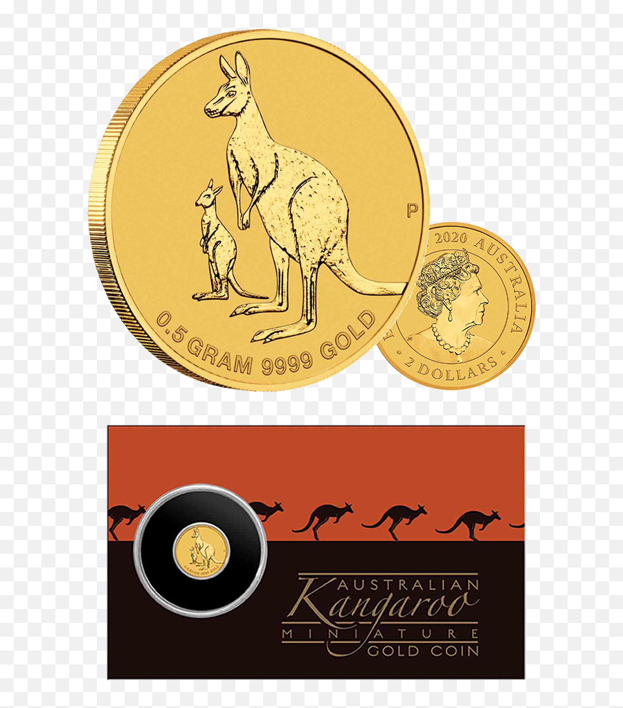2020 2 Kangaroo 05g Gold Brilliant Unc - Pellicer Creek Png,Kangaroo Logo