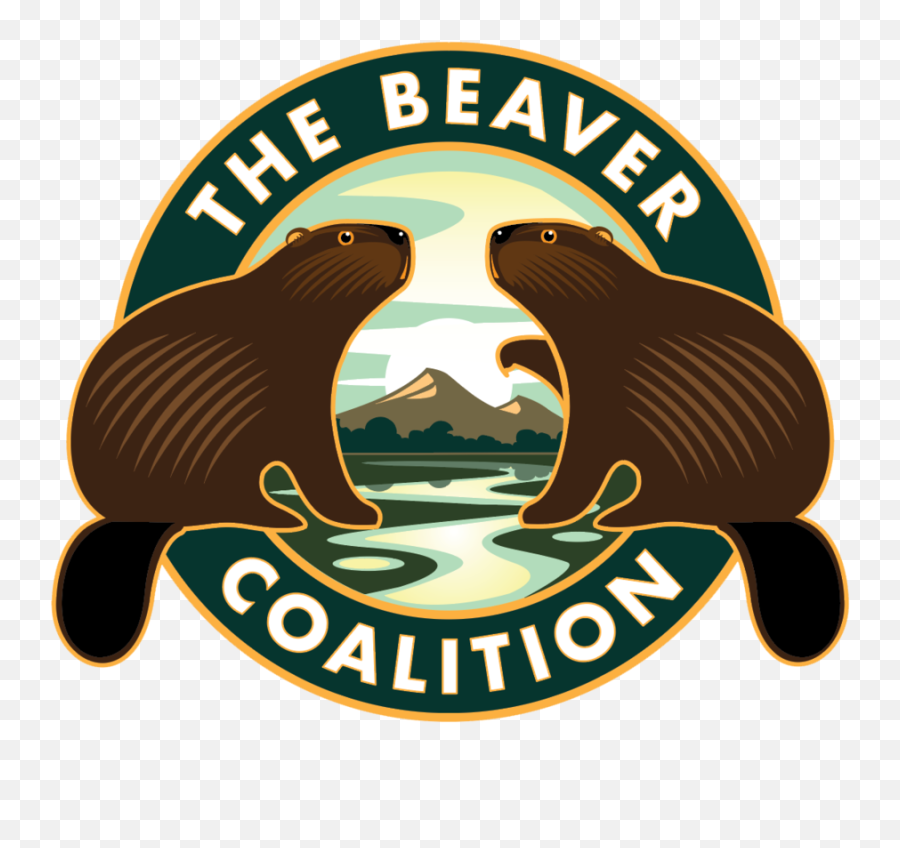 The Beaver Coalition Png Transparent