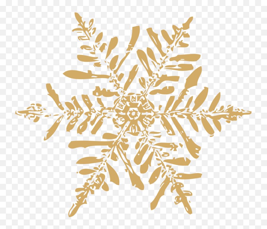 Download Gold Snowflake - 35 Mm Universal Plugjack Wired Decorative Png,Gold Snowflakes Png