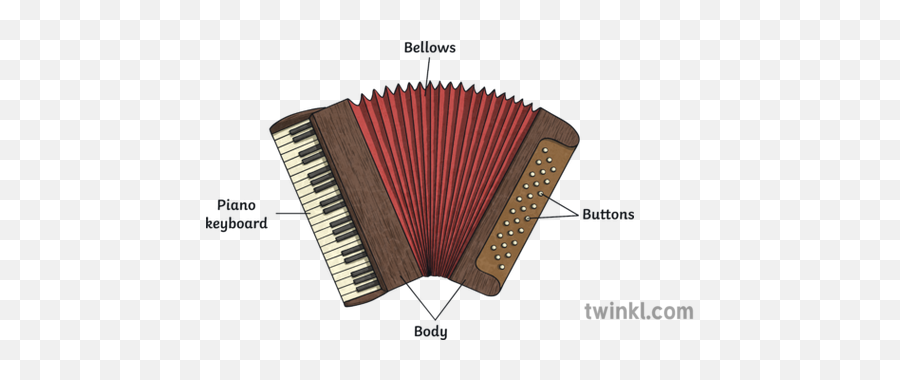 Accordion 2 Illustration - Twinkl Bellows Png,Accordion Png