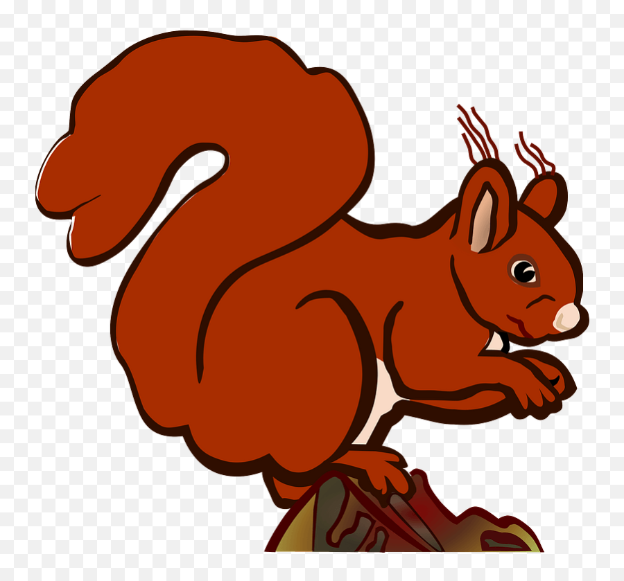 Squirrel Clipart - Dessin Ours Qui Marche Png,Squirrel Clipart Png