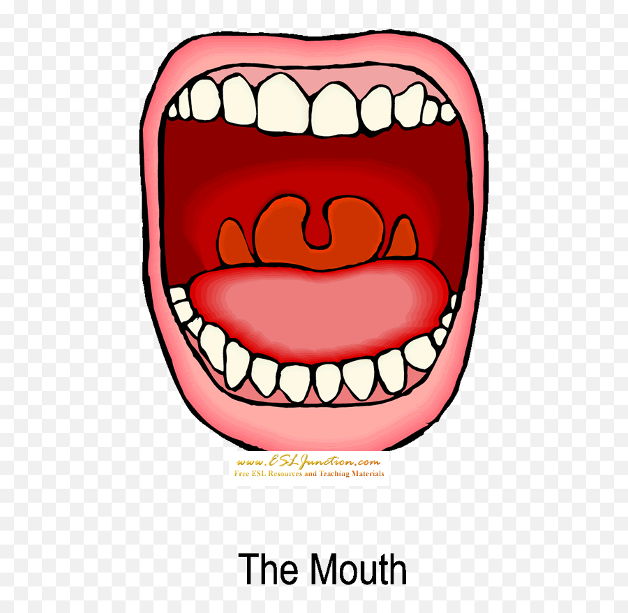 Mouth Images Png Clipart - Animated Mouth Digestive System,Angry Mouth Png