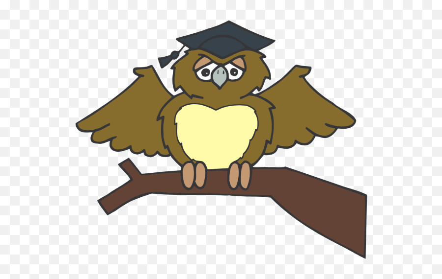 Owl Graduate Png Svg Clip Art For Web - Download Clip Art Kartun Burung Hantu Pakai Topi,Graduate Png