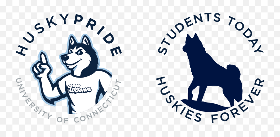 University Of Connecticut Brand Standards Downloads - Northern Breed Group Png,Trademark Logo Text