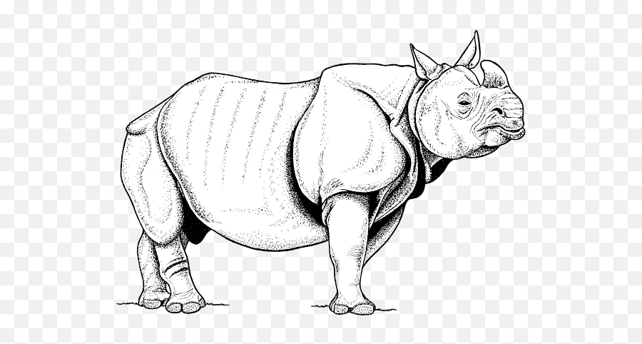 Indian Rhino Bath Towel - Indian Rhino Drawing Png,Rhino Icon