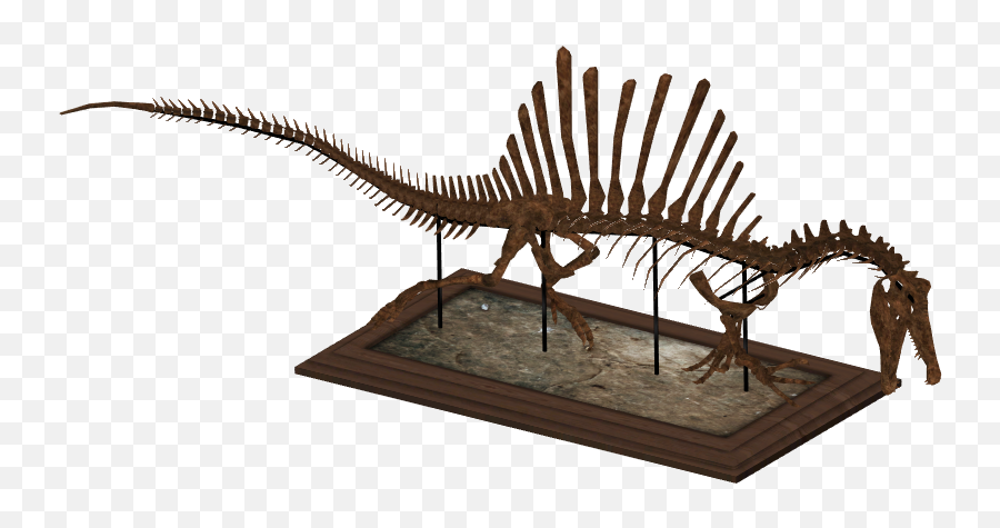 Zt2 Dinosaur Skeletons - Lesothosaurus Png,Dinosaur Skull Png