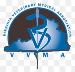 These Are A Few Of My Favorite Things Clarendon Animal Care - Centre For Cultural Resources And Training Png,Moana Folder Icon
