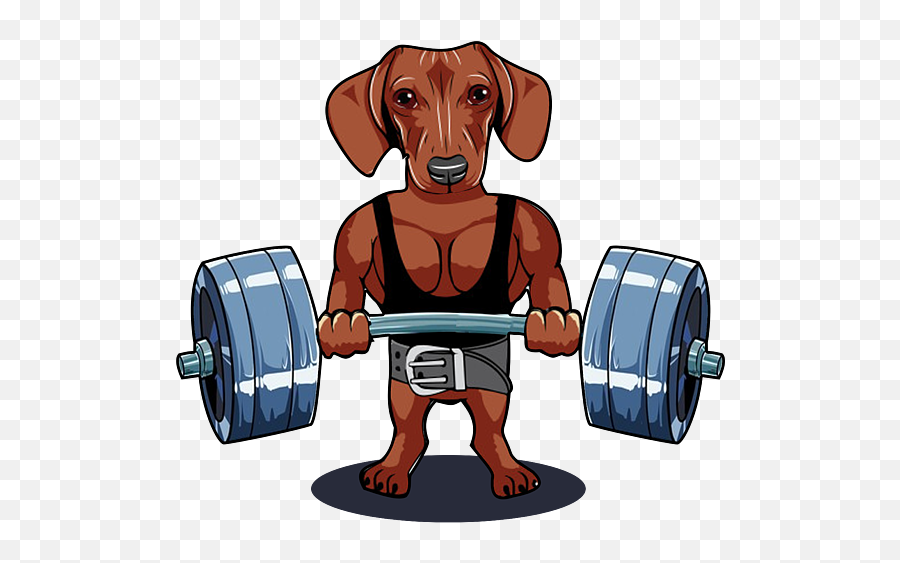 Weightlifting Dachshund Deadlifting Powerlifting - Barbell Png,Deadlift Icon