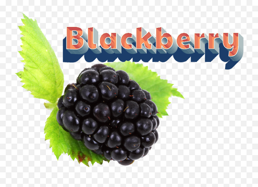Blackberry Download Png