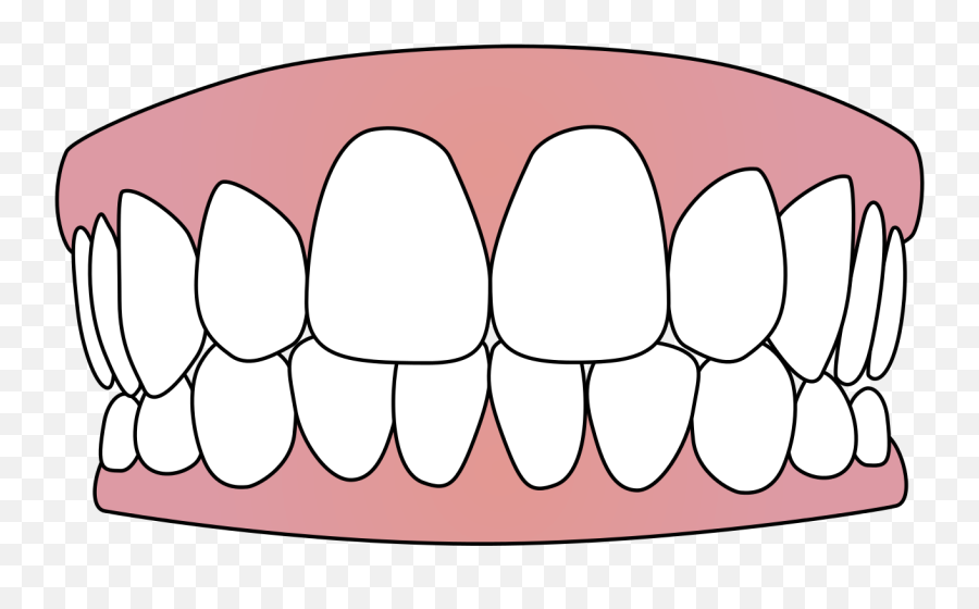 Transparent Background Teeth Clipart - Teeth Clipart Png,Tooth Transparent Background