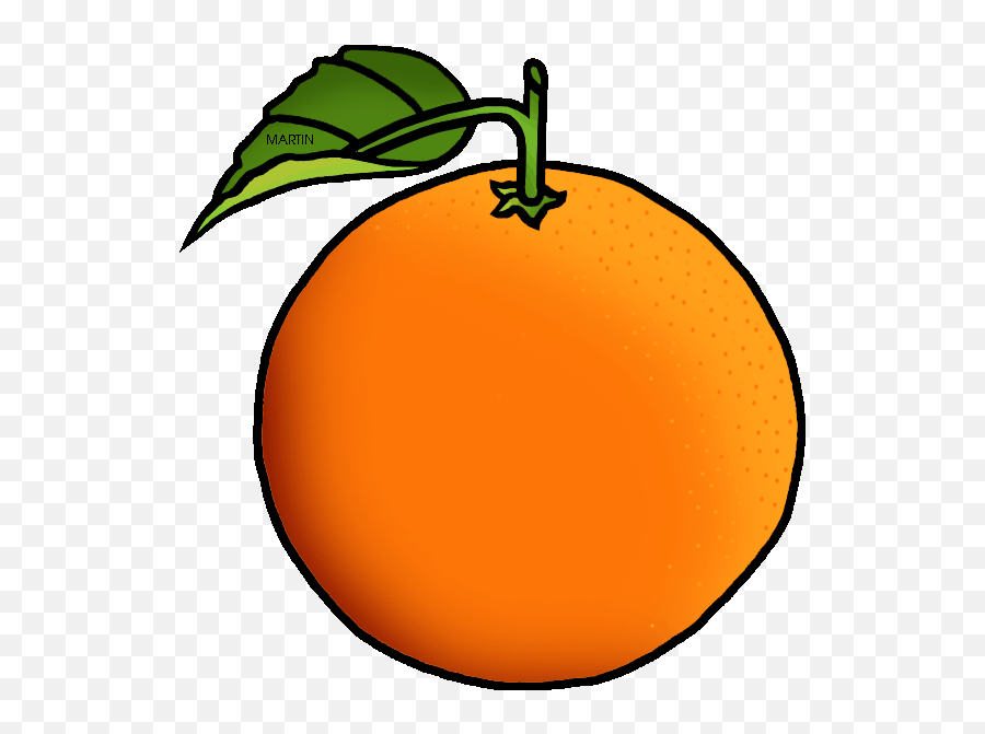 Fruit Clipart Orange - Orange Clipart Png,Orange Fruit Png