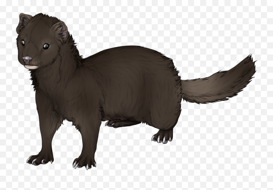 Mink Ferret Drawing Clip Art - Hand Painted Mink Png Ferret Drawing,Ferret Png