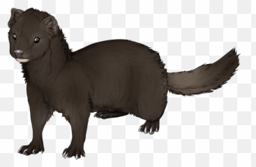Mink Ferret Drawing Clip Art - Hand Painted Mink Png Ferret Drawing,Ferret Png
