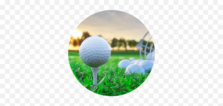 Download Book A Tee Time - Grass Png,Golf Png