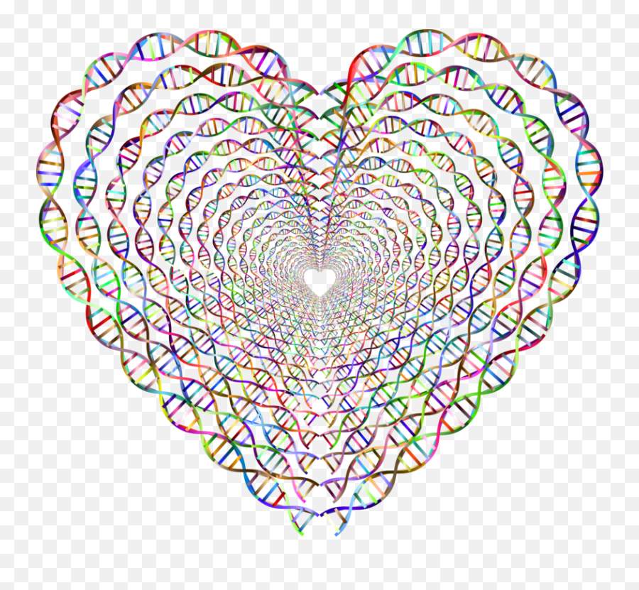 Nucleic Acid Double Helix Coloring Book - Dna Heart Art Png,Double Helix Png