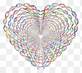 Nucleic Acid Double Helix Coloring Book - Dna Heart Art Png,Double Helix Png