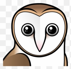 Zazzle Four Colour Owls - Cute Barn Owl Cartoon Png,Barn Owl Png