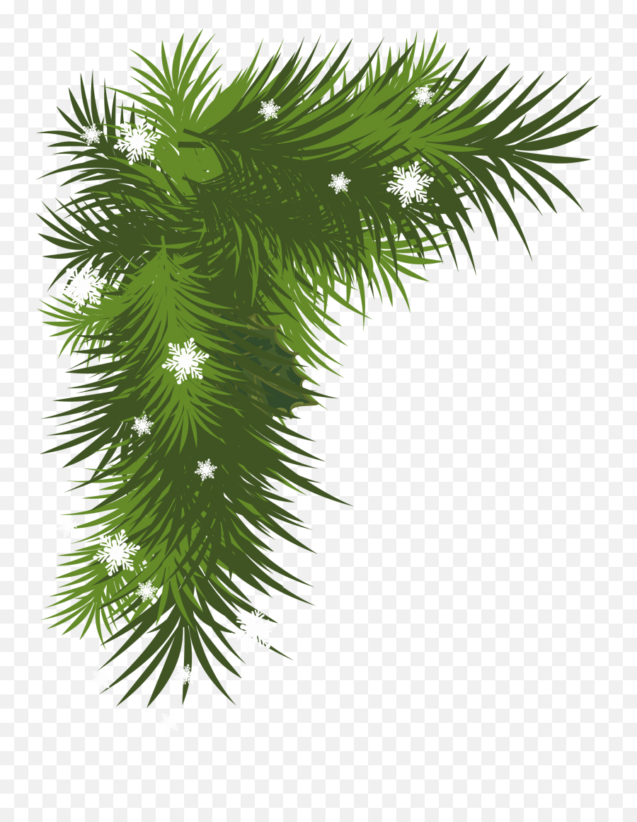 Gallery For Pine Tree Branch Clip Art - Christmas Tree Leaves Png,Pine Tree Branch Png