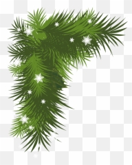 Gallery For Pine Tree Branch Clip Art - Christmas Leaves Png