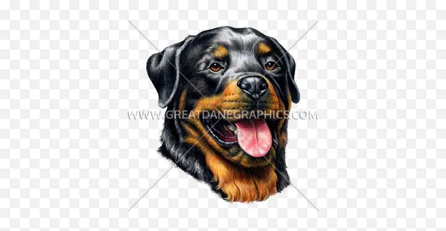 Rottweiler Standing Production Ready Artwork For T - Shirt Rottweiler Face Paint Png,Rottweiler Png